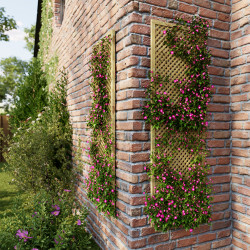 Treillis CLEMATITE - 180 x 60 x 3 cm