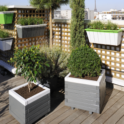 Deux bacs à fleurs carré en bois avec des arbustes, sur une terrasse en bois d'un toit 
