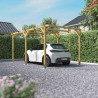 Carport ou pergola Henri en ambiance en extérieur avec un véhicule garé en dessous