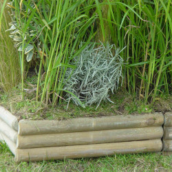Bordure BOCAGE droite - 300x550 mm