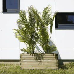 Grand bac de jardin en bois rectangulaire avec palmiers verts, posé devant une façade moderne blanche