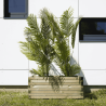 Grand bac de jardin en bois rectangulaire avec palmiers verts, posé devant une façade moderne blanche