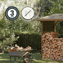 Abri bûches MEMPHIS XXL - 203 x 114,5 x 410 cm