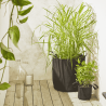 Deux sacs de plantation en feutre géotextile noir en situation sur un balcon