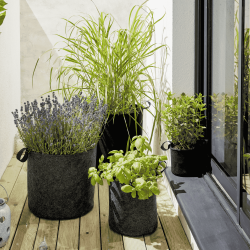 Plusieurs sacs de plantation en feutre géotextile noir en ambiance sur un balcon avec différentes plantes vertes 