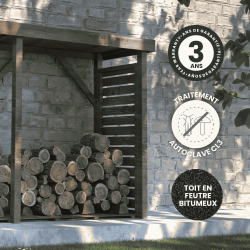 Abri bûches DALLAS XXL - 183 x 89,5 x 320 cm