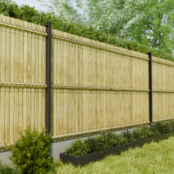 Okulto mise en situation dans un grillage noir, dans un jardin