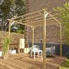 Pergola ANCOLIE - 247 x 300 x 300 cm