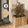 Jardinière Acanta - Mélèze - 41 x 28 x 28 cm