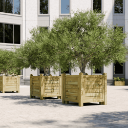 Bac Olivier en bois - 100 x 100 x 100 cm