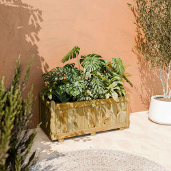 Bac de jardin en bois rectangulaire avec une plante monstera, placé sur une terrasse ensoleillée