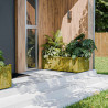Bac à fleurs rectangulaire en bois avec des végétaux mise en situation devant une entrée de maison