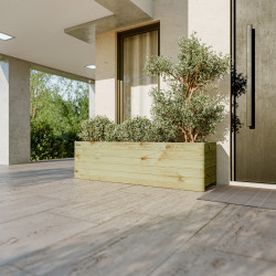 Bac à fleurs oléa en situation sur une terrasse à l'entrée d'une maison moderne