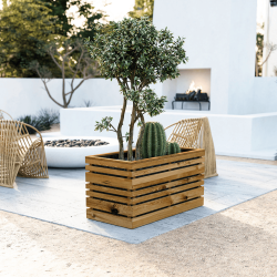 Bac à fleurs lign Z 202L mis en situation sur une terrasse moderne avec un petit olivier et un cactus planté dedans