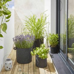 Plusieurs sacs de plantation en feutre géotextile gris anthracite en ambiance sur un balcon avec différentes plantes vertes 