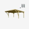 Carport double Victor Modern, vue de 3/4 et ses supports H inclus