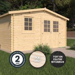 Abri de jardin en bois avec toiture en feutre bitumé