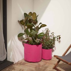 Deux sacs de plantation en feutre géotextile rose, de ø40cm et de ø25cm, en situation sur une terrasse