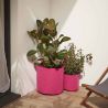 Deux sacs de plantation en feutre géotextile rose, de ø40cm et de ø25cm, en situation sur une terrasse