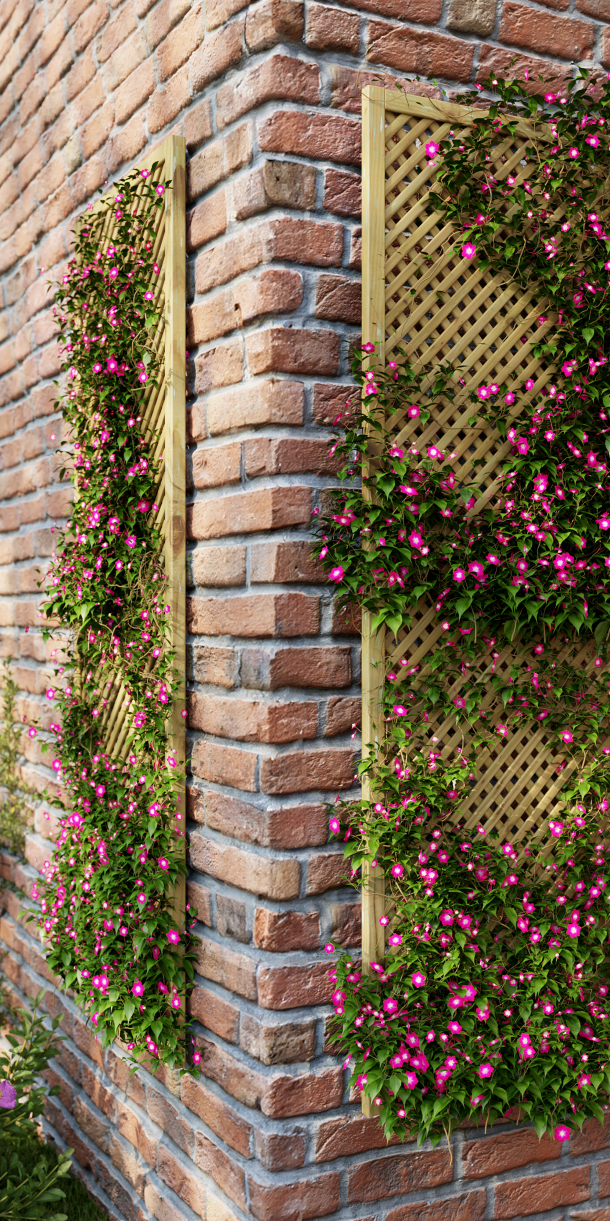 Collection_LINEA_ZOOM_5.png