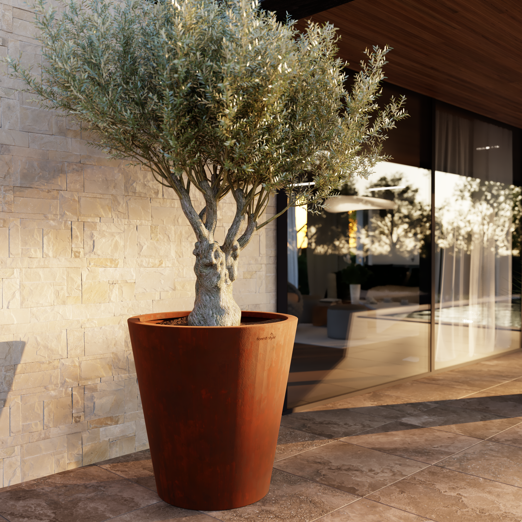 Zoom Corten 1
