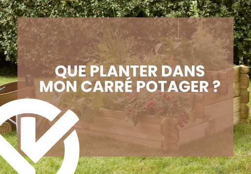 Que planter dans mon carré potager ?