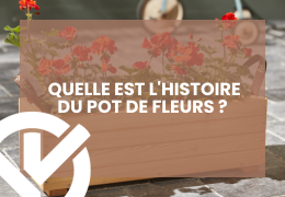 Quelle est l'histoire du pot de fleurs ?