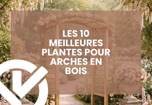 Les 10 meilleures plantes pour arches en bois