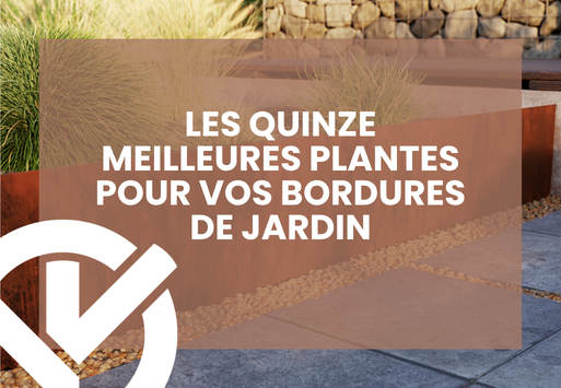 Les quinze meilleures plantes pour vos bordures de jardin
